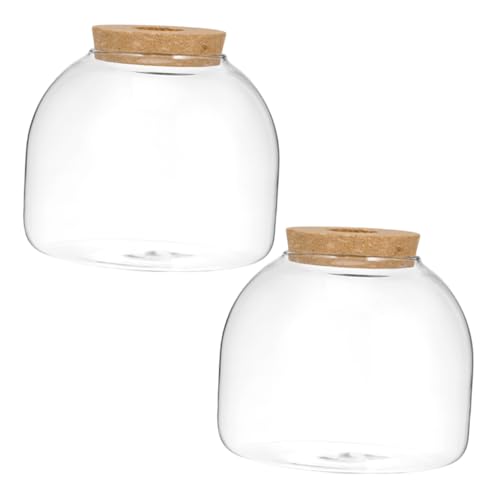 CORHAD 2st Ökologische Mikrolandschaftsflasche Kleines Terrarium Sukkulentenflasche Selber Machen Sukkulenten-übertopf Fischpflanzen Terrarium Terrarienglas Pflanzenterrarium Holz von CORHAD