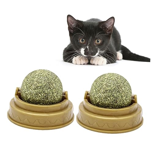 CORHAD 4 Stück Katzenbissball Katzenminzekugeln für Katzen Verdauungsförderer für Katzen Haustier Spielen Catnip Katzen minzekissen Katze behandelt Minzkugel Katze leckt Ball Green von CORHAD