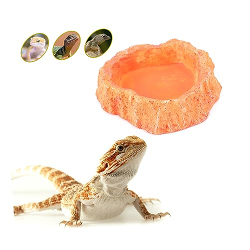 CORHAD Futternapf Für Haustiere Schildkröte Wasserfutternapf Für Reptilien Gecko-futtergerichte Futterteller Für Reptilien Futterbecher Für Reptilien Eidechsen-wurmschale Orange von CORHAD