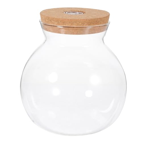 CORHAD Landschaftsflasche Driftflasche Zum Selbermachen Einmachglas Minidosen Mit Korkdeckel Transparente Fischflasche Terrarium Licht Dekorationen Für Aquarien Schüssel Weiß Holz von CORHAD