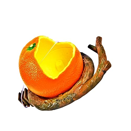 CORHAD Vogelfutternapf Für Papageien Orange Öko-Zweig-Design Flacher Boden Haken Für Käfig von CORHAD