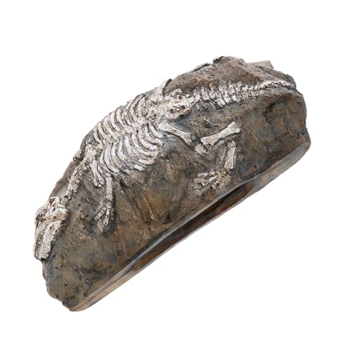 COSMEVIVI Aquarium Dinosaurier Ornament Harz Handwerk Fisch Tank Dekorationen Wohnkultur von COSMEVIVI