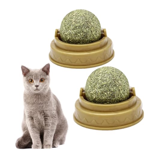 COSMEVIVI 4 Stück Katzenbissball katzenminze Catnip Katzenleckerli cat Treats leckereien für Katzen Katze leckt Ball Katze nipp Katze behandelt Minzkugel Verdauungsförderer für Katzen Green von COSMEVIVI