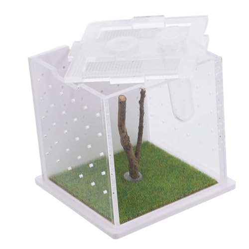 COSMEVIVI Kasten Springspinnen-zuchtbox Spinnen-Terrarium Zuchtbehälter Insektenbehälter Insektenlebensraum Fall Fütterung Fall Transparenter Springspinnenkäfig Reptilfall Acryl von COSMEVIVI