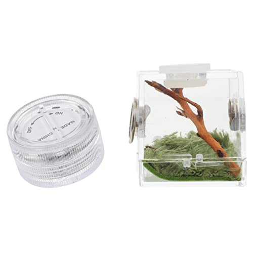 COSMEVIVI Kasten Springspinnen-zuchtbox Spinnenzubehör Haustiergehege Großes Terrarium Mini-Terrarium Kleines Terrarium Spinnengehege Kleiner Durchsichtiger Behälter Großer Laufstall Acryl von COSMEVIVI