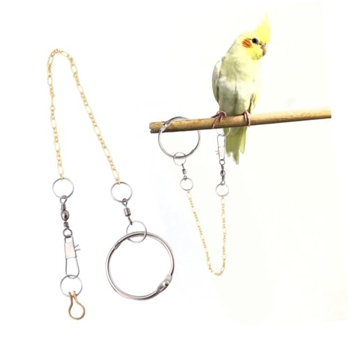 COSMEVIVI Papagei Fuß Fußkettchen Vogel Fußring Trainingsleine Für Papageien Vögel Geschirr Vogelbeinring Papageienleine Zubehör Für Haustiervögel Vogelkäfig Papagei Fußleine Silver von COSMEVIVI