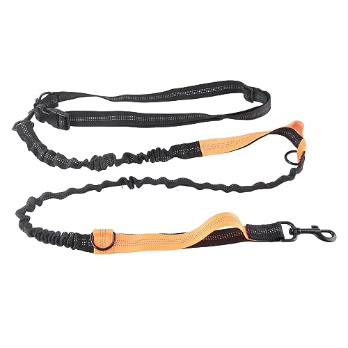 Hundeleine, elastisches Leinenseil, gepolsterter Kontrollgriff, robuste Bungee-Hundeleine, stoßdämpfendes, elastisches Hundeleinenseil mit 2 gepolsterten Griffen (Orange) von COSMICROWAVE