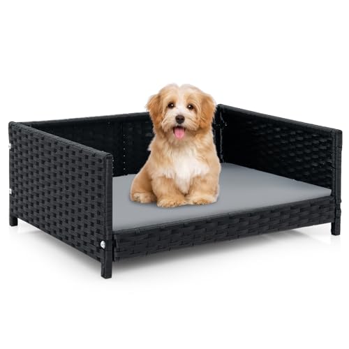 COSTWAY Hundebett aus PE-Rattan, Haustierbett mit abnehmbarem Kissen & waschbarem Bezug, Metallrahmen, erhöhtes Hundesofa für kleine/mittelgroße Hunde, Hundecouch für drinnen draußen, 62x46x25cm von COSTWAY