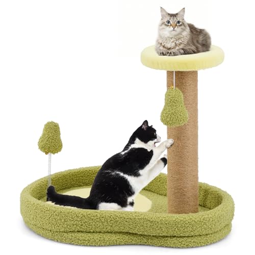 COSTWAY Kratzbaum Klein, 50cm hoch, Katzenbaum im Avocado-Optik, Katzenkratzbaum mit Katzenbett & Federspielzeug & Sisal-Kratzpfosten, Katzen Katzenmöbel Kletterbaum, Aktivitätsbaum Spielbaum von COSTWAY