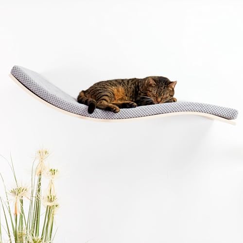 COSY AND DOZY Katzenbett Wand - Katzenliege Wand - Wandliege Katze - Wandbett Katze - Katzenbretter für die Wand - Regal Katze Wand Liegeplatz - Soft Grey Ahorn Bett Katzenmöbel Wand bis 25 kg von COSY AND DOZY