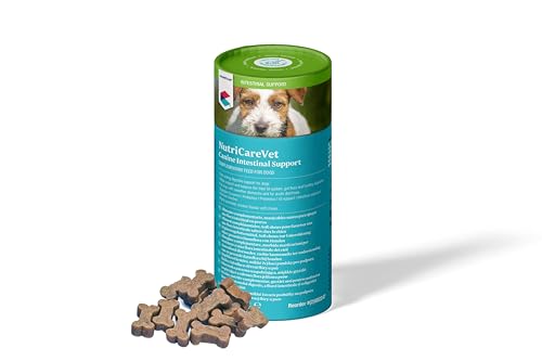 NUTRICAREVET Gastro 60CHEWS Hund COVETRUS von COVETFARM