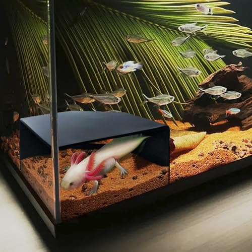 Aquarium Eckhöhle Versteck Axolotl Buntbarschhöhle Aquarium Zubehör Zubehör Zubehör Dekoration Aquascape Eckfisch Aquarium Höhle Versteck mit Sichtfenster, Terrarium/Aquarium Unterirdische Naturhöhle von CPLIKE