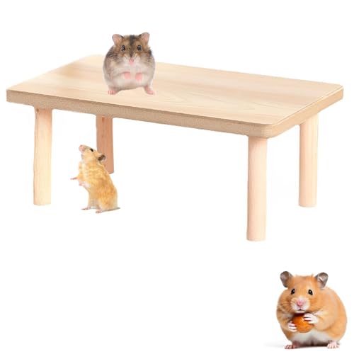 CPRNQY Hamster Plattform, Hamster Zubehör für Den Käfig, Hamsterplattform, Beißplattform für Hamsterheim Hamsterspielzeug Landschaftsbedarf Hamster Kletterplattform Eichhörnchen Schlafplattform von CPRNQY