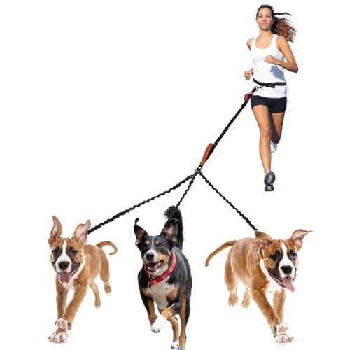 Hundeleine für Hunde, Hundeleine Mittelgroße Hunde Joggingleine mit Reflektierende Stoßdämpfende, Nylon Hundeleine mit Metall Karabiner für 3 Hunde, Rot von CQCLUZQI