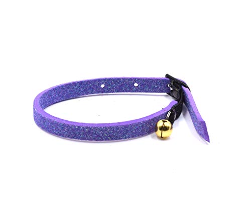 CRAZY FAMILY SHOP Halsband für Katzen, aus weichem Glitter-Schaumstoff mit elastischem Anti-Strang-Gummi und goldfarbener Glocke (Violett) von CRAZY FAMILY SHOP