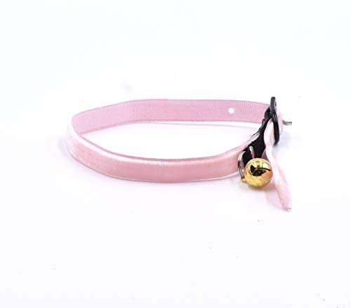 CRAZY FAMILY SHOP Halsband für Katzen, aus weichem und strapazierfähigem Samt mit Anti-Strang-Gummiband und Glocke vergoldet (Rosa) von CRAZY FAMILY SHOP