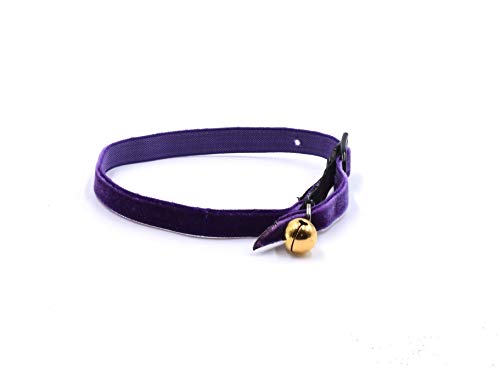 CRAZY FAMILY SHOP Halsband für Katzen, aus weichem und strapazierfähigem Samt mit Anti-Strang-Gummizug und Glocke vergoldet (Fuchsia) von CRAZY FAMILY SHOP