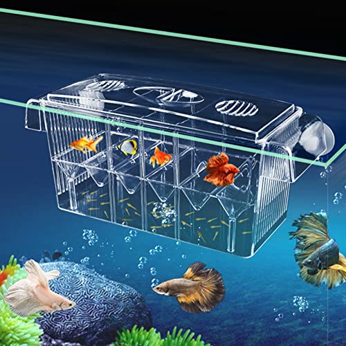 CSPone CSPone Ablaichkasten Aquarium Klein Laichbecken Aquarium Fisch-Züchterbox Zuchtbecken Aufzuchtbecken Noppen Transparent Trennwand für ​Fische von CSPone