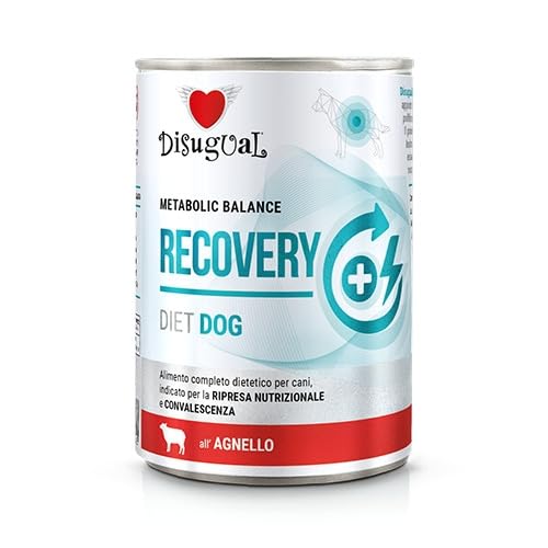 Disugual Ernährung Nassfutter für Hunde, Recovery, 6 x 400 g von CT-TRONICS