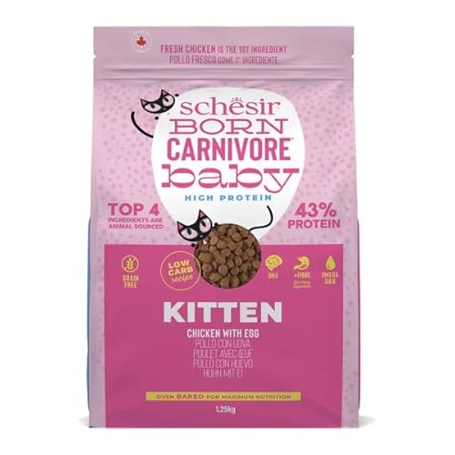 Schesir Born Carnivore | Trockenfutter für Katzen | verschiedene Formate und Geschmacksrichtungen | natürliche Inhaltsstoffe | (Hühnchen mit Kitten-Ei, 1,25 kg) von CT-TRONICS