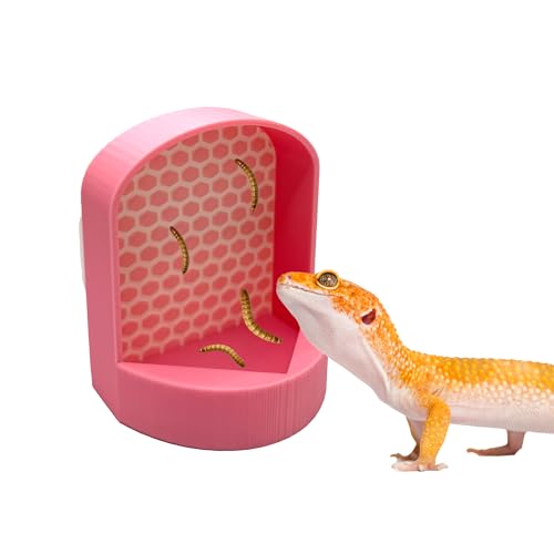 Bug Climber Reptile Bug Feeder Wall Insect Climb (Bubblegum Pink, Mini) von CTWPets