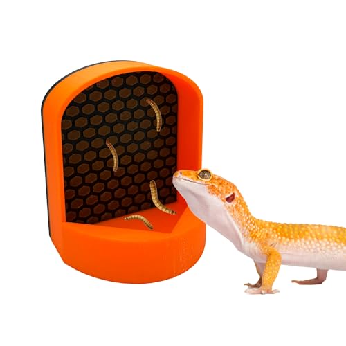 Bug Climber Reptile Bug Feeder Wall Insect Climb (Fresh Orange, Mini) von CTWPets