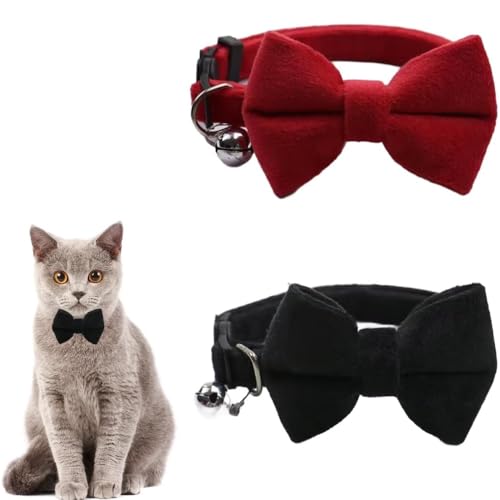 CUEMOON 2 Stück Schnellverschluss-Katzenhalsband mit Schleife, Katzenhalsband mit Glocke, verstellbares Kittenhalsband für Kätzchen, Welpen und kleine Haustiere von CUEMOON