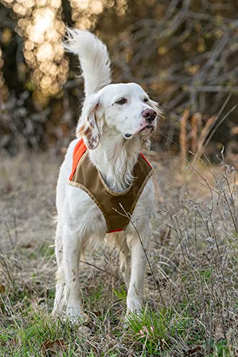 CUGA Vest Serious Protection for The Active Dog, Schmale Brust Coyote/Orange, MED-Narrow Chest Sporting Dogs (45-70#) von CUGA VEST