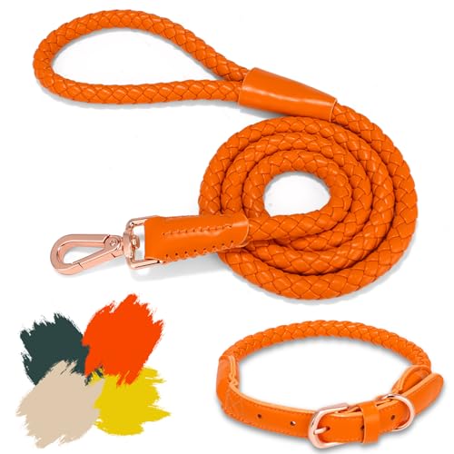 Hundeleine und Halsband aus weichem Leder, stilvolles, robustes, geflochtenes, wasserdichtes Halsband und Leine, robuste rotgoldene Schnalle, 122 cm, für große, mittelgroße und kleine Hunde, Orange, von CUGBCUG