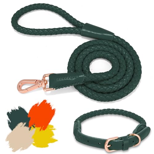 Hundeleine und Halsband aus weichem Leder, stilvolles, robustes, geflochtenes, wasserdichtes Halsband und Leine, robuste rotgoldene Schnalle, 122 cm, für große, mittelgroße und kleine Hunde, Grün, von CUGBCUG