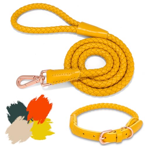 Hundeleine und Halsband aus weichem Leder, stilvolles, robustes, geflochtenes, wasserdichtes Halsband und Leine, robuste rotgoldene Schnalle, 122 cm, für große, mittelgroße und kleine Hunde, Gelb, von CUGBCUG