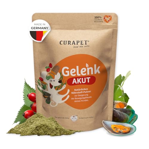 CURAPET Gelenkpulver für Hunde Grünlippmuschel, MSM, Kollagen, Glucosamin + 8 weitere funktionale Zutaten, Alternative zu Gelenktabletten, 200 g Doypack (max. 80 Portionen) von CURAPET