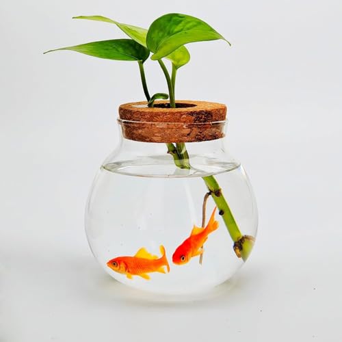 Süßes Betta-Fischbecken für kleine Aquarien, Glasbehälter für Beta-Fische und Pflanzen, Schreibtisch-Dekoration für Zuhause und Büro, Geschenkidee von CUSNESTAL