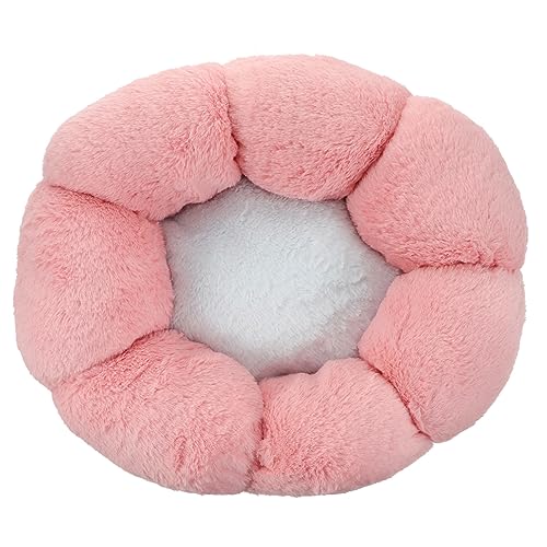 CVUTOVO 1Stück Katzenbett für Kleine Haustiere Blumenform Warmes und Sicheres Nest für Katzen und Kleine Hunde Ausruhen Innen Stabiles Design Langlebig und Kratzfest CVUTOVO 1Stück Katzenbett für Kleine Haustiere Blumenform Warmes und Sicheres Nest für Katzen und Kleine Hunde Ausruhen Innen Stabiles Design Langlebig und Kratzfest von CVUTOVO
