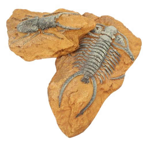 CVUTOVO 2 Stück Künstliche Fossilien für Terrarien Dekorative Reptilienbox Ornamente Gestaltung für Geckos Schildkröten und Hochwertige Langlebige Materialien CVUTOVO 2 Stück Künstliche Fossilien für Terrarien Dekorative Reptilienbox Ornamente Gestaltung für Geckos Schildkröten und Hochwertige Langlebige Materialien von CVUTOVO