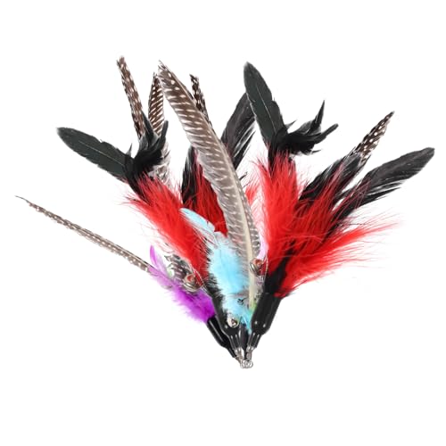 CVUTOVO 4Stücke Katzen Teaser Stick Plume Ersatzfedern Interaktives Katzenspielzeug für Kätzchen Nachfüllpackung mit Perlenfedern und Schwarzen Federn Langlebiges Zubehör für Spaß CVUTOVO 4Stücke Katzen Teaser Stick Plume Ersatzfedern Interaktives Katzenspielzeug für Kätzchen Nachfüllpackung mit Perlenfedern und Schwarzen Federn Langlebiges Zubehör für Spaß von CVUTOVO