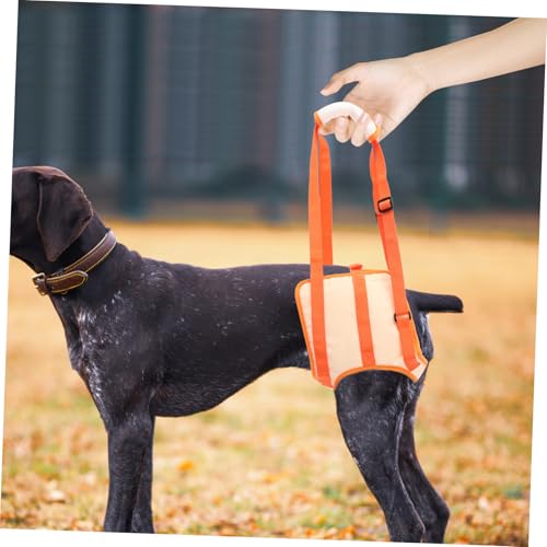 CVUTOVO Hundetragehilfe für Hinterbeine Verstellbar Leichter Hundegurt für Ältere und Verletzte Hunde Unterstützung Beim Treppensteigen und Hochkommen für Kleine bis Große Rassen CVUTOVO Hundetragehilfe für Hinterbeine Verstellbar Leichter Hundegurt für Ältere und Verletzte Hunde Unterstützung Beim Treppensteigen und Hochkommen für Kleine bis Große Rassen von CVUTOVO