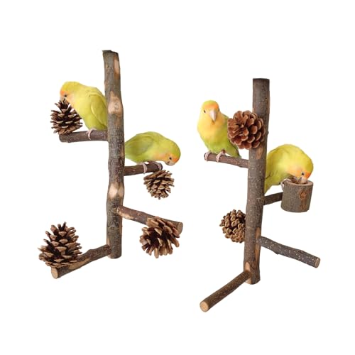 CVZQTE 2PCS Papagei Barsch Vogelkäfig Zubehör Barsch Ständer Schraube Holz Barsch Vogel Spielzeug Vogel von CVZQTE