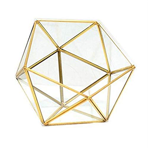 CVZQTE Schmuckschatulle, Glas-Terrarium, Aufbewahrungsbox, Schmuckhalter, Glas, geometrische Tischplatte, Sukkulenten-Pflanzkasten, Pflanzgefäßhalter für Koffer, Schwarz, gold von CVZQTE