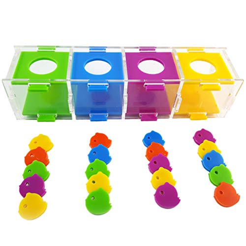 CVZQTE Vogel-Trainingsspielzeug, Papageien-Trainingsspielzeug, Münzbox, Spielzeug, winzige Münzbox, kleine Fingerspielzeug, Intelligenz-Münzbox-Set, Vogelspielzeug, Papageienspielzeug, kleine Vögel, von CVZQTE