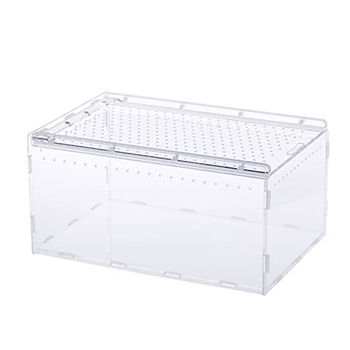 Transparente Futterbox mit Deckel für Geckos Supplies Transparent - Futterbox Container Insektenzuchtbox von CVZQTE