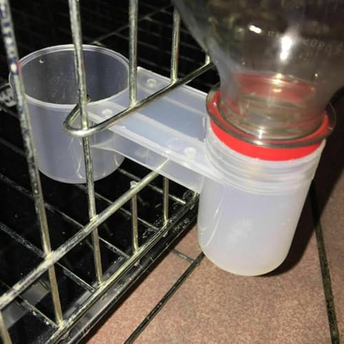 Pet Bird Waterer Cup Feeder, Connect Bottle, Easy Refill, Clean, Chicken Pigeon von CWOQOCW