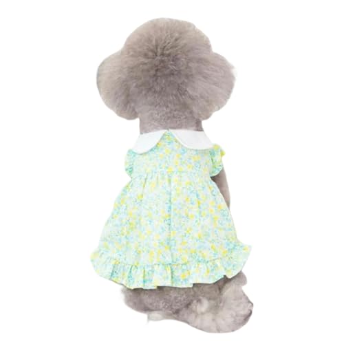 CXHJCQ Hundepullover Sommerpuppenkleidung Dog Blumenkleid Süßes Druckhund Prinzessin Rock Weiche Katze Kleid Chihuahua Hundekleidung-grün-l von CXHJCQ