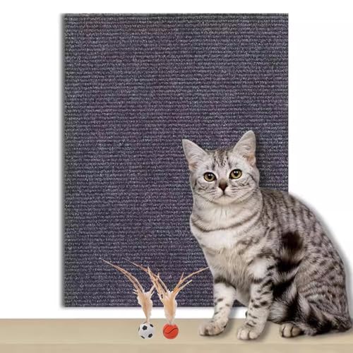 Kratzmatte Katze Selbstklebend Zuschneidbare Katzenkratzmatte für Schutz von Möbeln, selbstklebende Anti-Katzen-Kratzunterlage für Schutz der Couch und Baumpfosten für Katzenkratzer(Dark grey,60x100c von CYHTYM