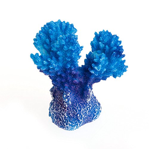 CYILPR Aquarium Harz Koralle Künstliche Koralle für Aquarien Polyresin Simulation Koralle Ornamente Fische zur Dekoration von CYILPR