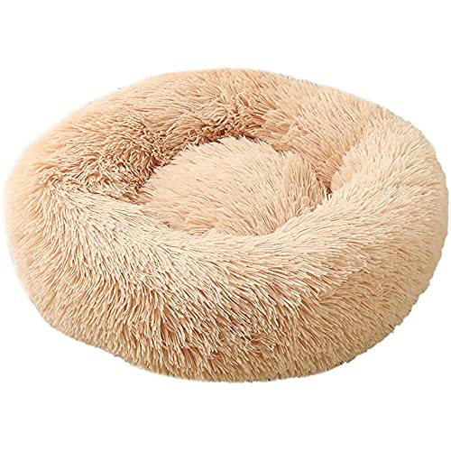 CYN Hundebett Donut Katzenbett, Hundenest Auto Nest Plüsch kreisförmig Pet Nest Hundebett Winter Warme Matte Hund Pad Haustier liefert Haustier Bett-Champagner_39 Zoll von CYN