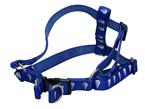 Cadiz CF Hundegeschirr, Halsband für Haustiere, Zubehör für Hunde, Blau, offizielles Produkt (CyP Brands) von CYPBRANDS