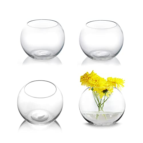 CYS EXCEL 4 Stück Glas-Schalen (H-11,4 cm B-14 cm, ca. 1/4 Liter) | Fischschalenvase | Glasschale Terrarium | Globus-Blumenvase Tafelaufsatz von CYS EXCEL