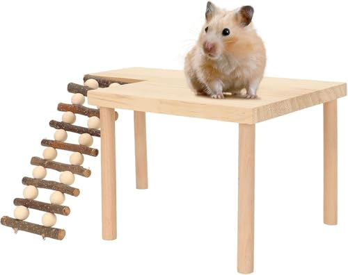 CYSFETENA 2-lagige Hamster Kletterplattform aus Naturholz mit Leiter, Hamster Etage für Spiel Bewegung und Ruhe, Bucatstate Holzspielzeug für Hamster Ratten und kleine Haustiere von CYSFETENA