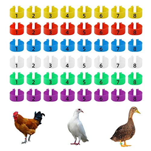 CYWVYNYT 48 Stück Hähnchen Beinringe Mehrfarbige Hähnchen Identifikation Beinbänder Nummerierter Clip an Geflügel Beinringen für Gamefowl Truthahn Ente Gans Guinea (16mm) von CYWVYNYT